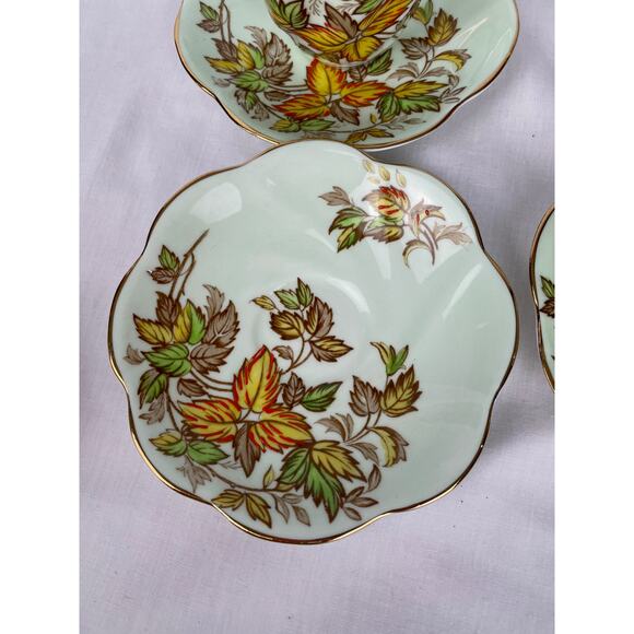 Vintage Rosina Bone China Saucers - Set of 7 - Picture 1 of 8